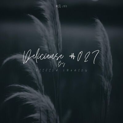 DeLiCieUsE Series #027