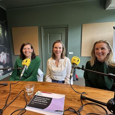 Mirte van den Berge, Karin de Jong, Helène Erftemeijer - Financial Crime Threat Assessment