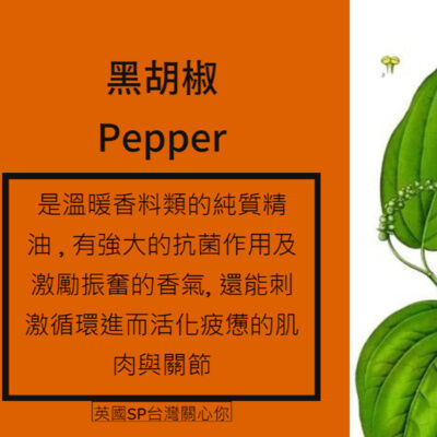 英國SP台灣 讓精油說故事 黑胡椒純質精油