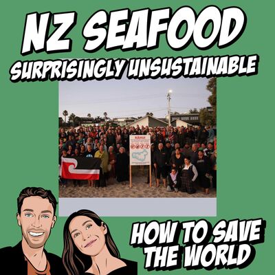 NZ Seafood: Surprisingly Unsustainable
