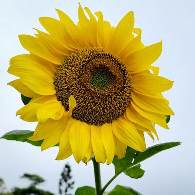 EP.16 音樂快問快答之好友篇