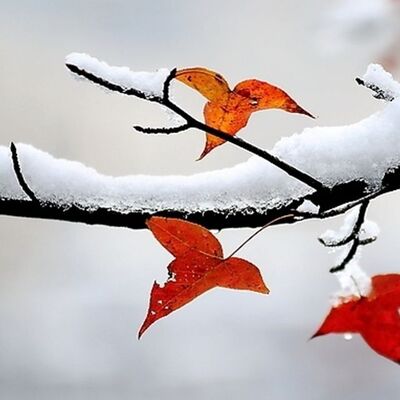 用观息法治疗抑郁，练习中可以改变姿态吗？