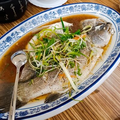 S4EP8<實習早八要到嗎>(上) 做啥不重要 人比較重要 !