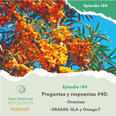 Ep 184 - P&R 40 - Orexinas / GLA y omega 7 - Episodio exclusivo para mecenas