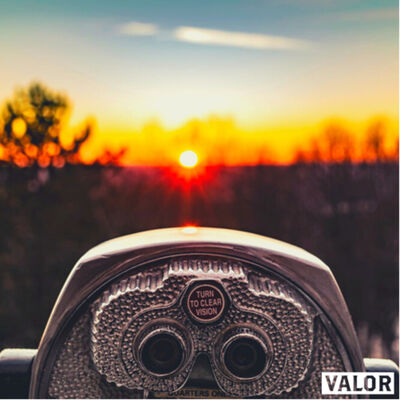 VISION