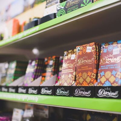 What alternative business models do we need to help beat poverty?