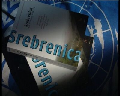 Hoe wetenschappelijk is het NIOD-rapport?