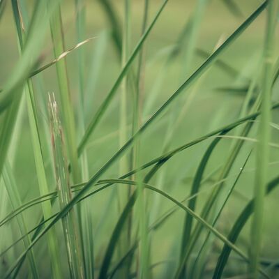 Berpikir Kritis - FAHRUDDIN FAIZ | S21, Esp. 4