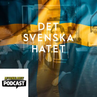 Del 9 Moskéer brinner och Ny Demokrati kommer in i riksdagen