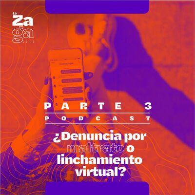 Parte 3 ¿Denuncia por maltrato o linchamiento virtual?