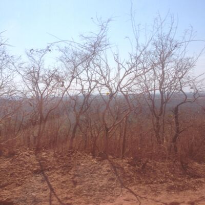 I’ve been so lonely.