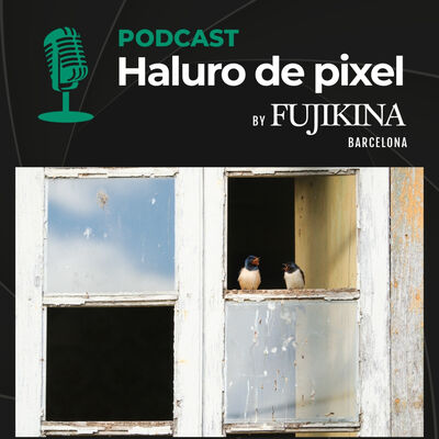 Kiko Arcas: Inmortalizar la vida salvaje - FUJIKINA Barcelona