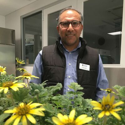 Dr Yaseen Khalil provides an update on his pasture rotations project, highlighting key findings