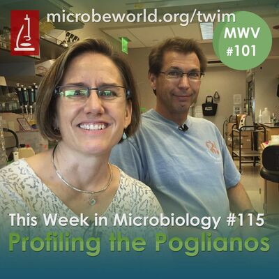 MWV 101: TWiM 115 - Profiling the Poglianos