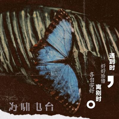 遇到时，好好珍惜；离别后，各自安好