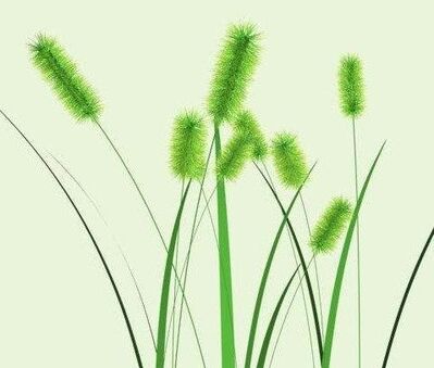 75.还是做狗尾巴草好（讲给小宝宝的100个故事）