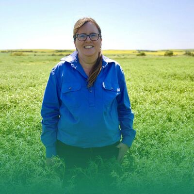 From risk to response: Managing sclerotinia in lupin in WA