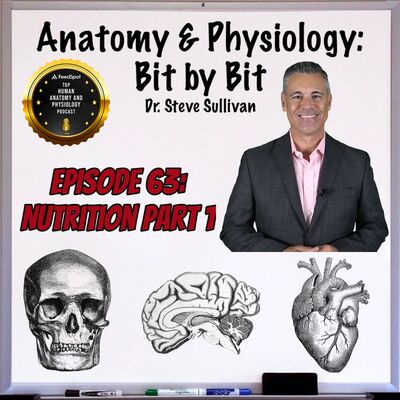 Nutrition Part 1- Episode 63