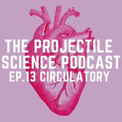 The Projectile Science podcast EP.13 : Circulatory ( การหมุนเวียนโลหิต )