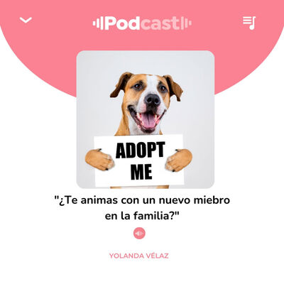 210. Adoptar a un Perro: Consejos para un Nuevo Comienzo