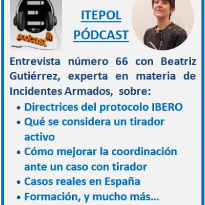 Entrevista número 66 con Beatriz Gutiérrez, experta en Incidentes Armados