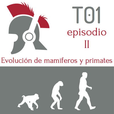 La evolucion de los mamiferos y de los primates