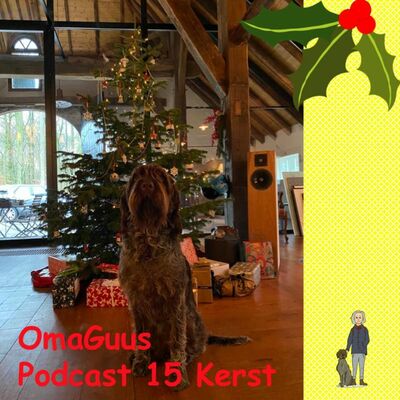 PC 15 Kerst OmaGuus