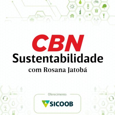 Os esforços do setor de transporte para transição para economia de baixo carbono