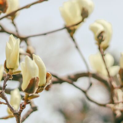 Ep108 学习死亡教会我们如何生活