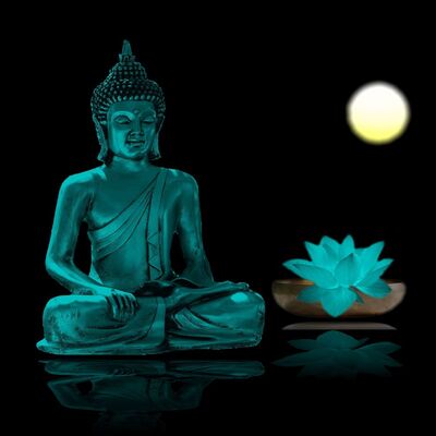 Meditazione sul bisogno di approvazione