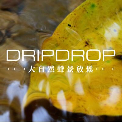 EP28 | 葉子要多少片才算一堆呢 ?