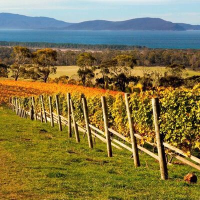 Regional overview: Tasmania