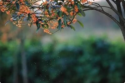 【支招心理学】最近很烦恼,怎样才能让自己平常心呢？