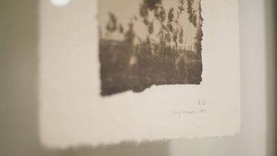 058. 在回不去的家乡，把自己种回来