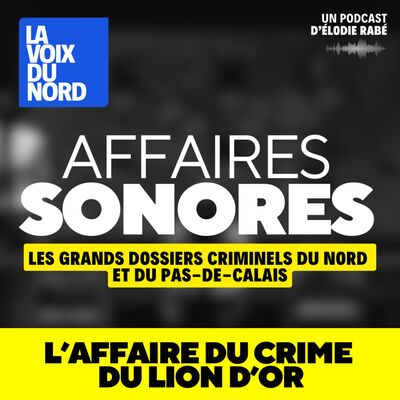 L'affaire du crime du Lion d'or (4/4) - Quand l’impensable vient bouleverser la justice
