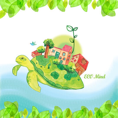 小乌龟的两个半愿望—卷卷姐姐睡前故事