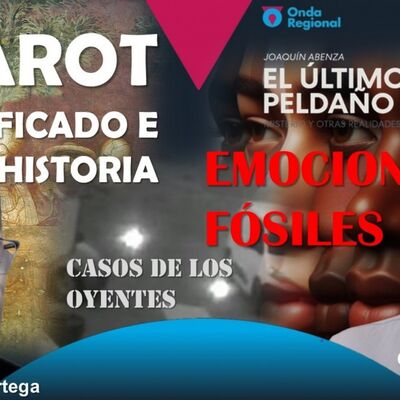 EL ÚLTIMO PELDAÑO T34C022 Tarot, significado e historia. Las emociones fósiles. Extrañas luces en una cámara de vigilancia. (15/02/2025)