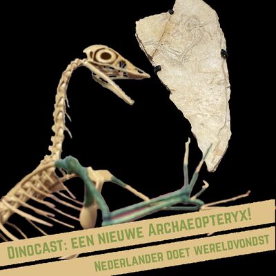 Een nieuwe Archaeopteryx! Nederlander doet wereldvondst