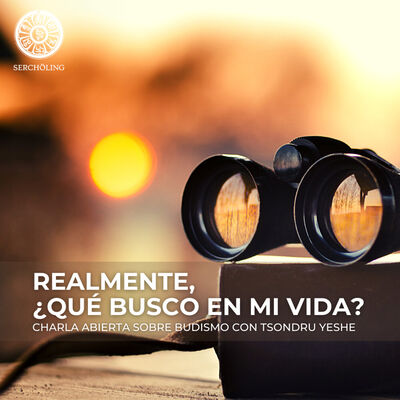Realmente, ¿Qué busco en mi vida?