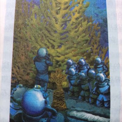 海底两万里第一部第24章珊瑚王国
