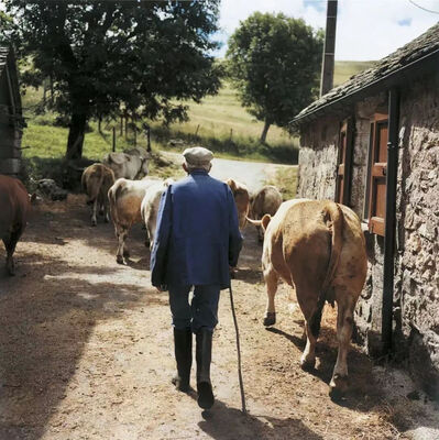  217. 一起看展「雷蒙·德巴东：现代生活」 