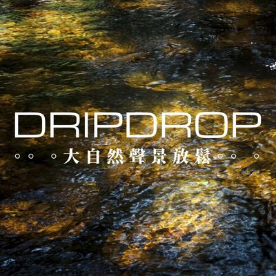 EP18 | 仔細聆聽感受自己置身於森林之中。