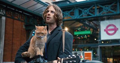 312 同情乞讨者，但更尊敬不被生活打败的人