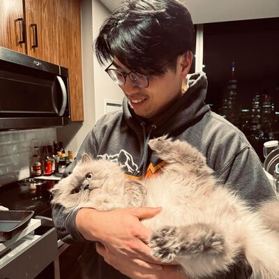 疫後棄養潮未止 「愛爸」幫助250流浪貓找到家