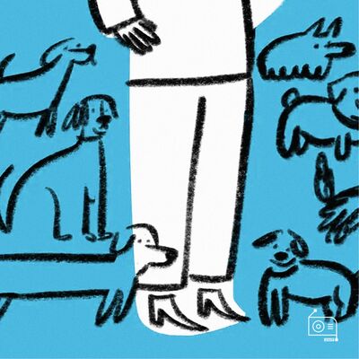 EP237：「月月轻松」救助流浪狗，到哪一步该收手？