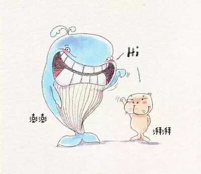 关于节目停播以及去向的告知，感谢收听。