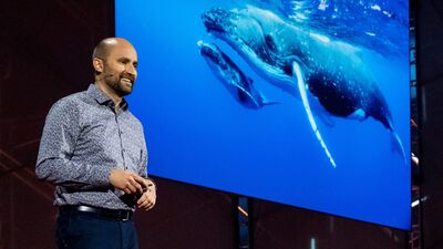 El futuro de máquinas que se mueven como animales | Robert Katzchmann