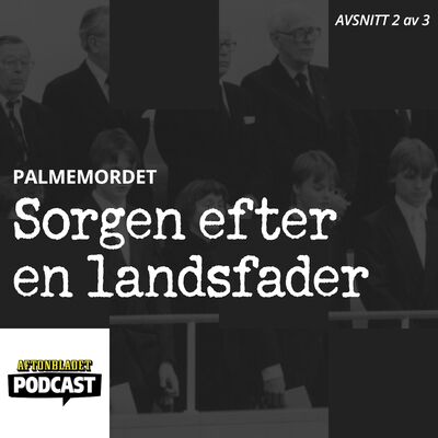 Palmemordet del 2: Sorgen efter en landsfader