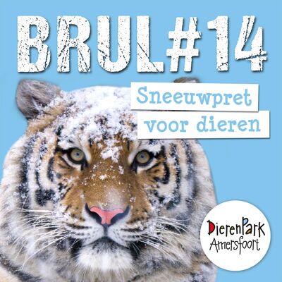 Sneeuwpret voor dieren | BRUL #14