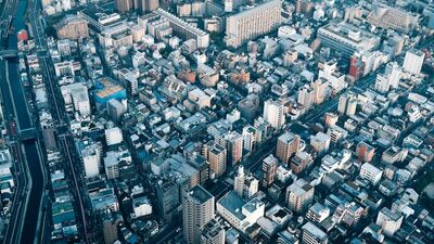 Lose It All to Win the World